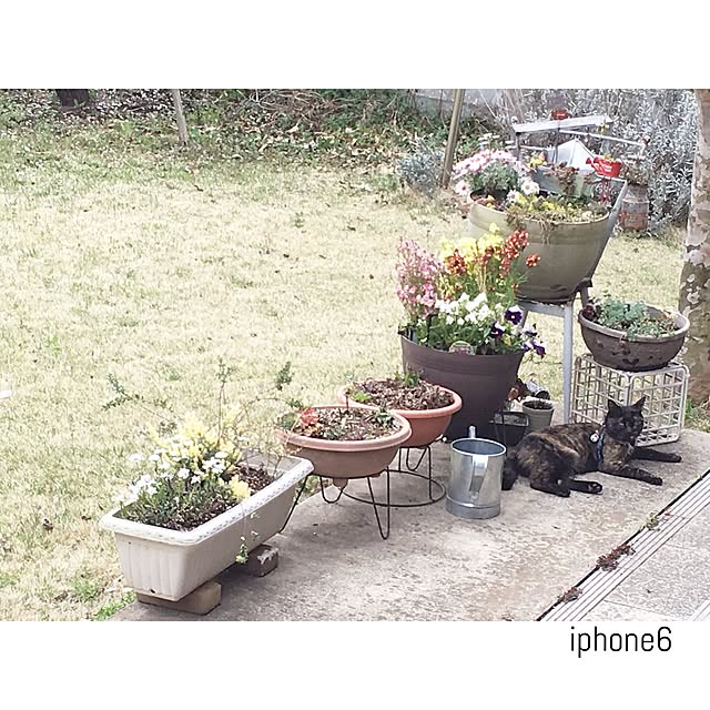 Ryoさんの実例写真