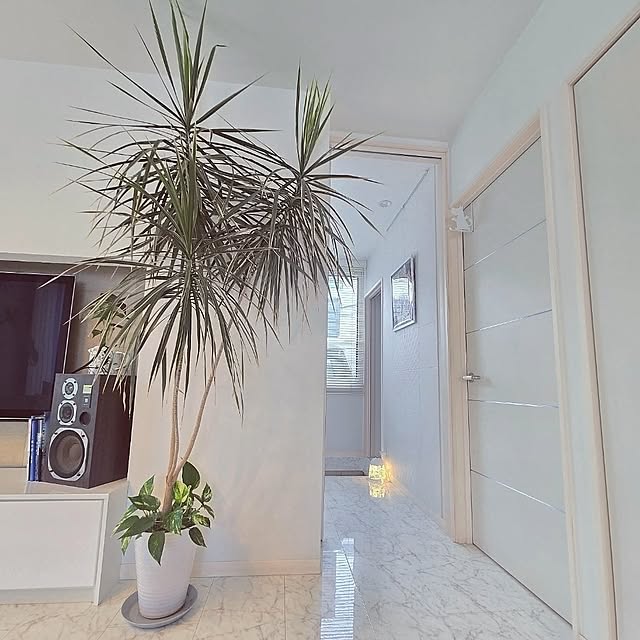 mutyukingさんの実例写真