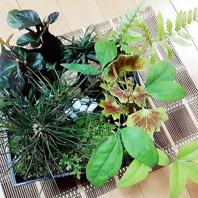 katさんの実例写真