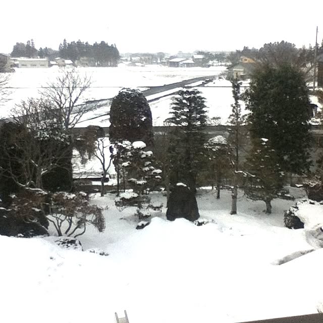 useimama83132513さんの実例写真