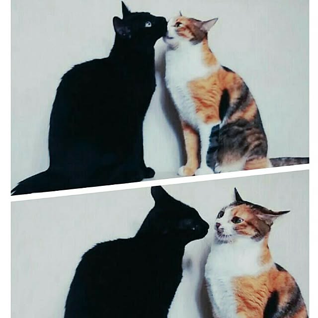 taleo07さんの実例写真