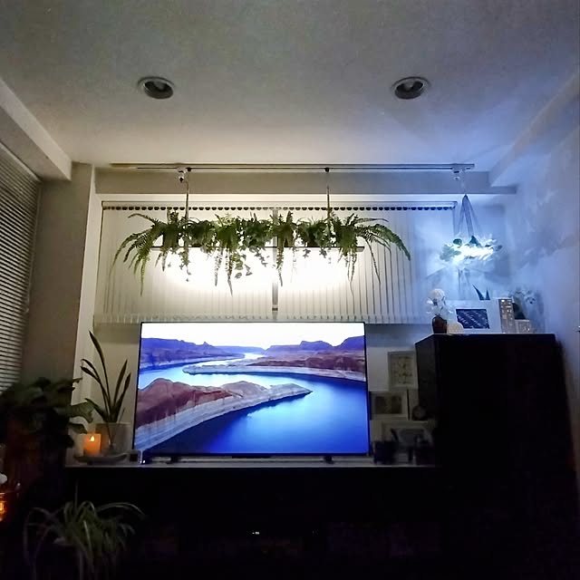 jinさんの実例写真