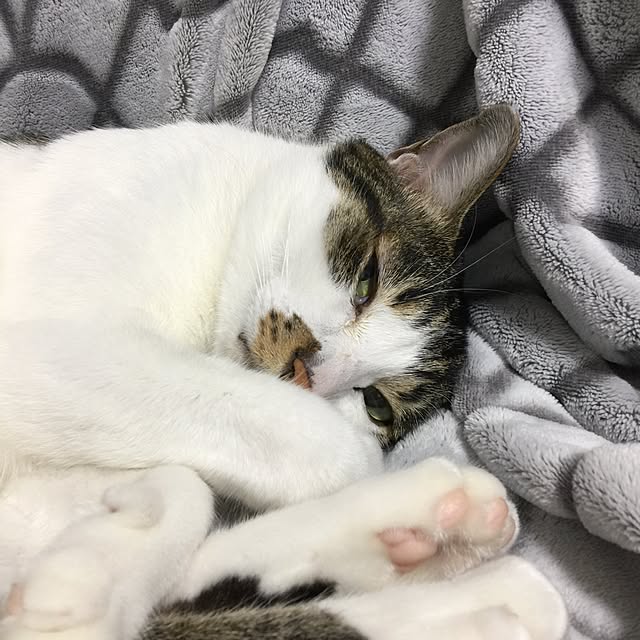 yuchiさんの実例写真