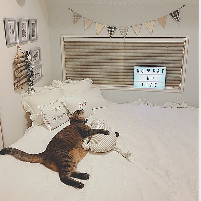 lovecatさんの実例写真