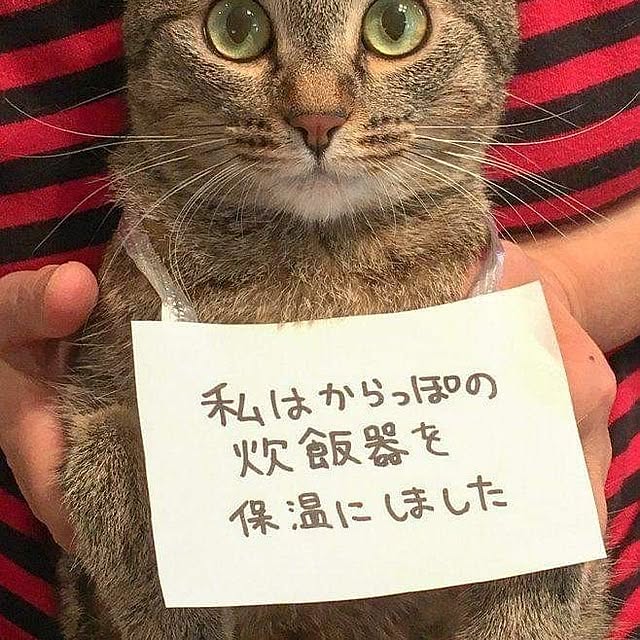 Tackunさんの実例写真