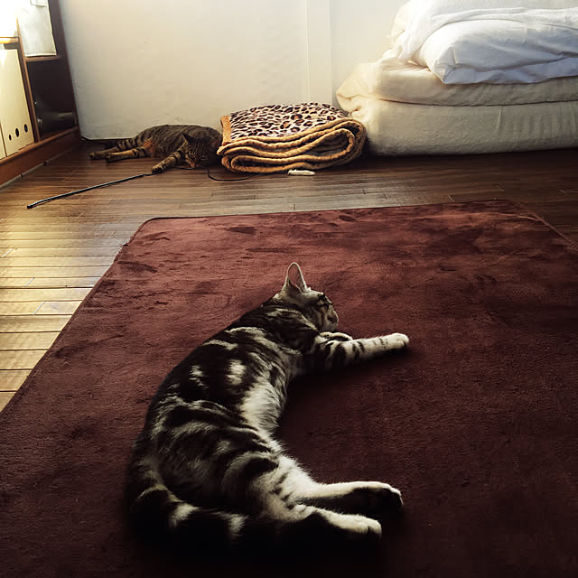 KINGさんの実例写真