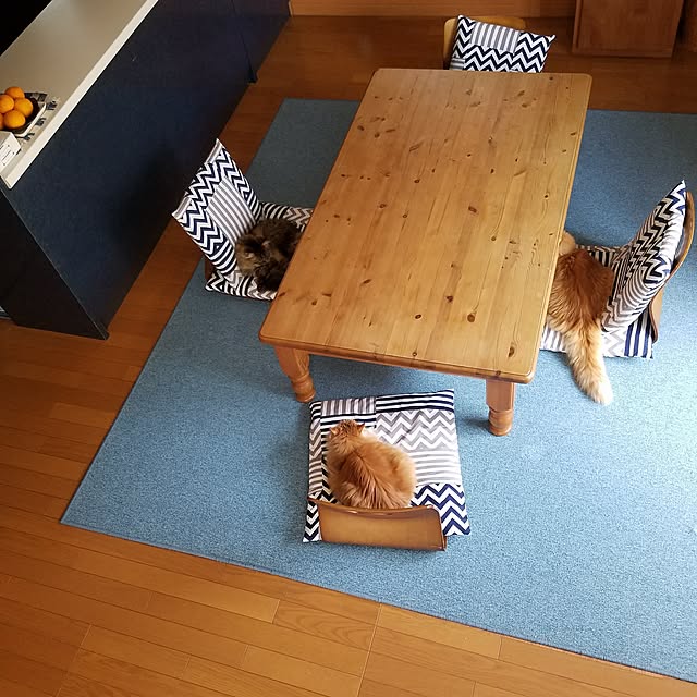 tomotomoさんの実例写真