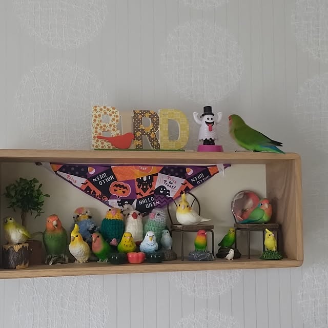 toratanさんの部屋
