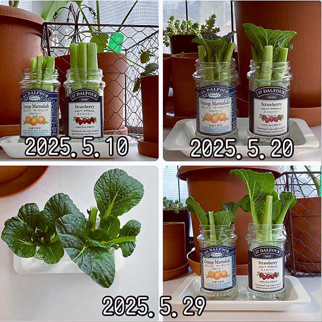 madamkaoriさんの部屋