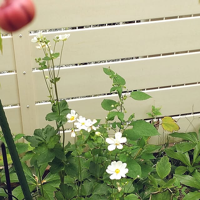 Bienvenueさんの部屋