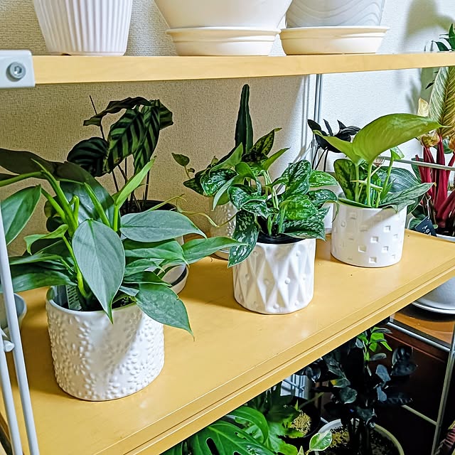 hanachanさんの部屋