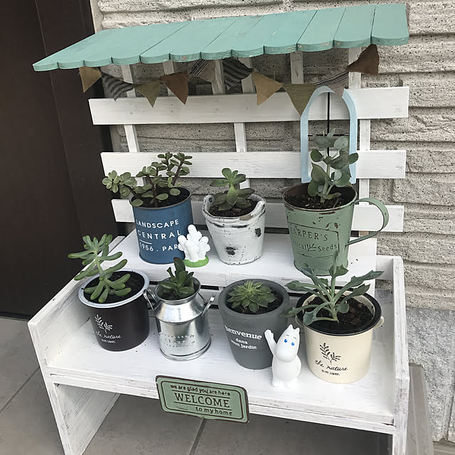 多肉植物 簡単DIYのインテリア・手作りの実例 ｜ RoomClip