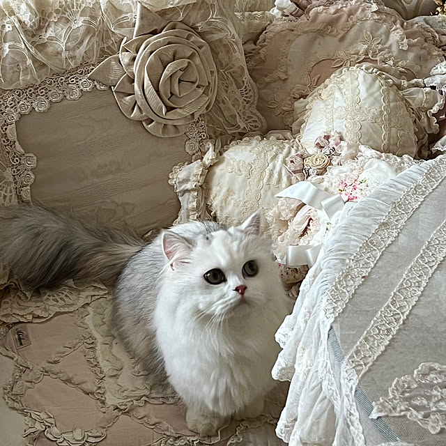 AYUKOさんの実例写真