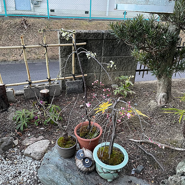 shin0719さんの部屋