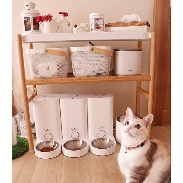 okuraさんの実例写真