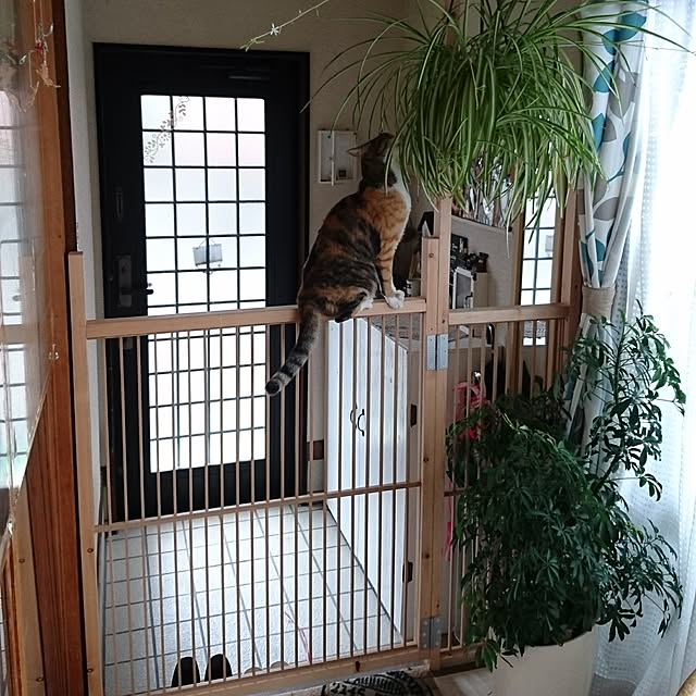 taleo07さんの実例写真