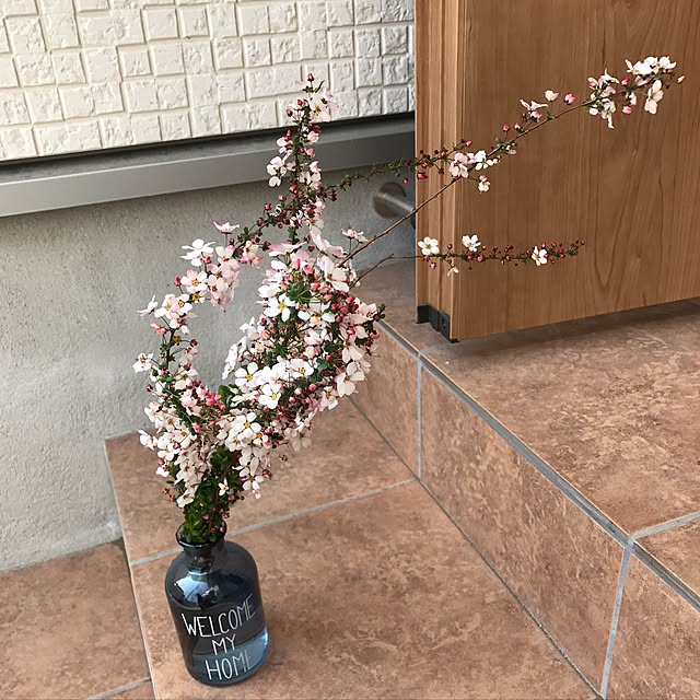 minamiさんの実例写真