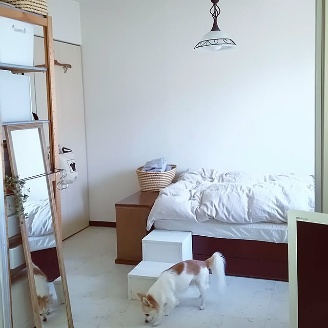 nonさんの実例写真