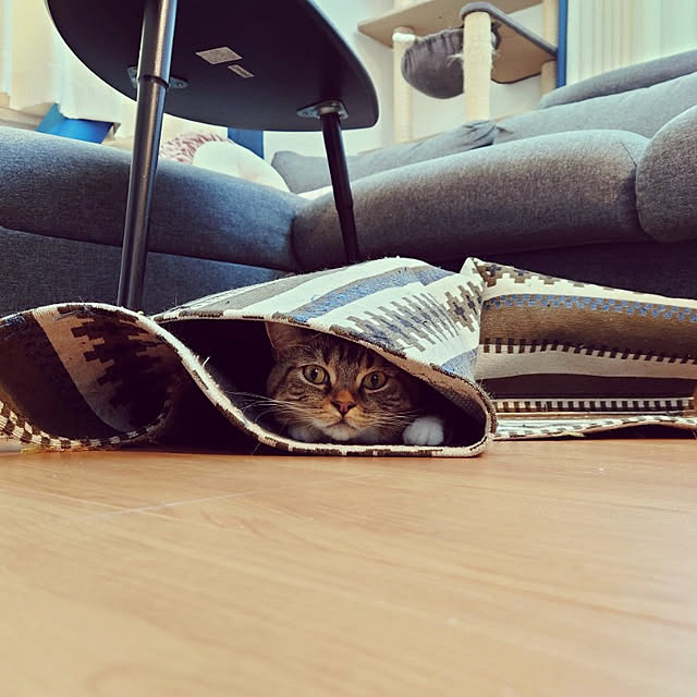 mochicoさんの実例写真