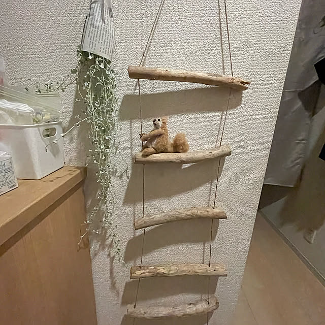 harukoさんの実例写真