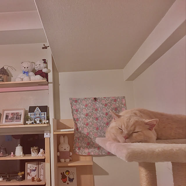 naokoさんの実例写真