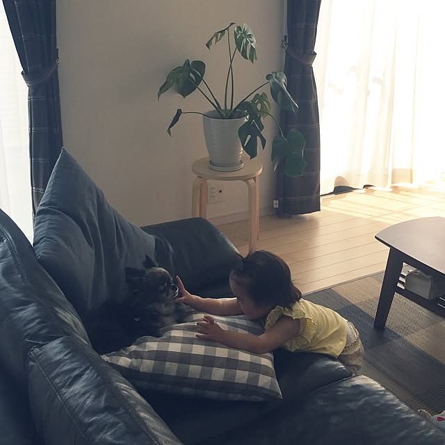 chiさんの実例写真