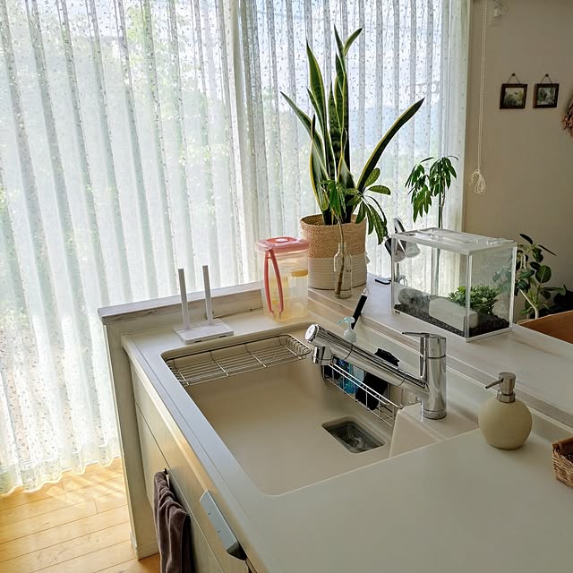 ri-eさんの実例写真