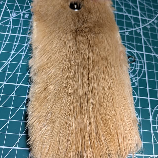 asaさんの実例写真