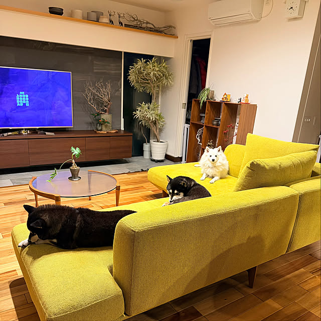 nuruiさんの部屋