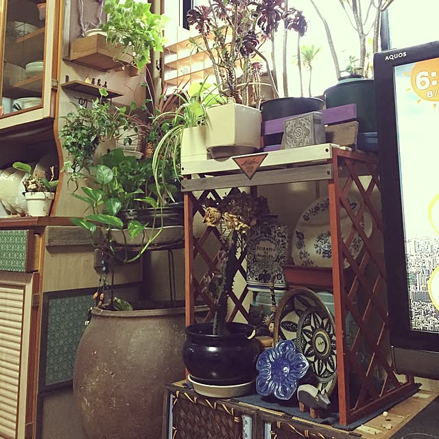 Norikoさんの実例写真