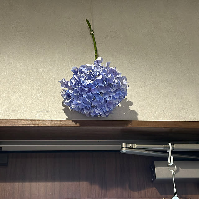 ponponcooさんの実例写真