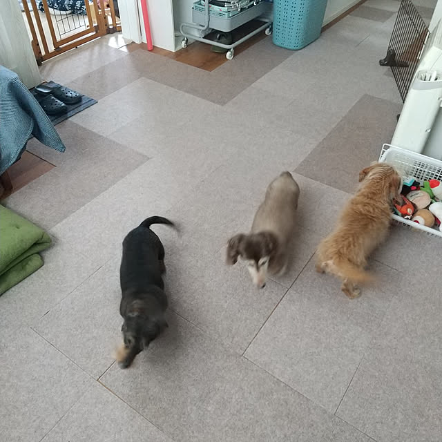 chocococoaさんの実例写真