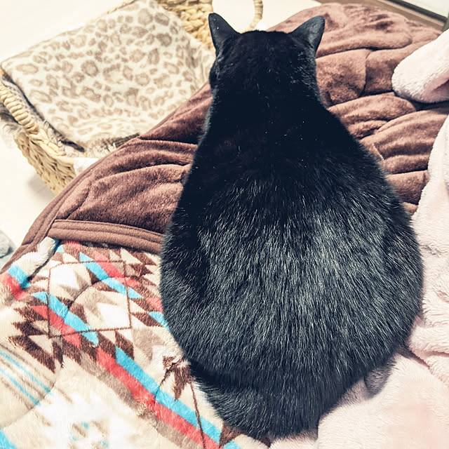 arasannさんの実例写真