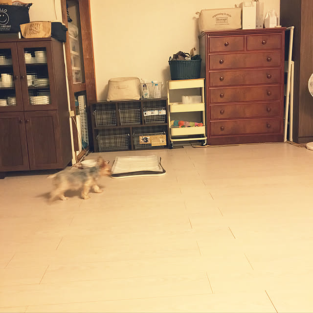 ohanaさんの実例写真