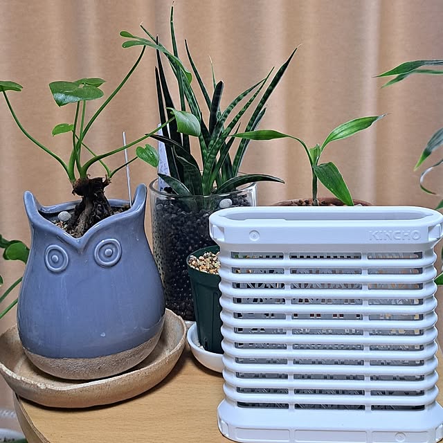 The_bird_of_wonderさんの部屋