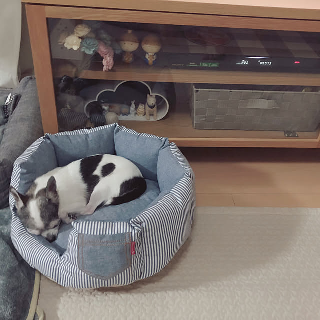 Emiさんの実例写真