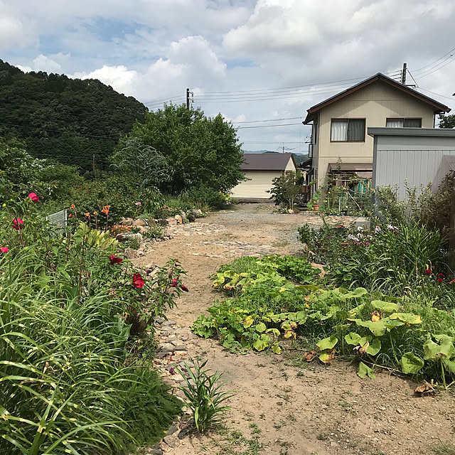 pepeさんの実例写真