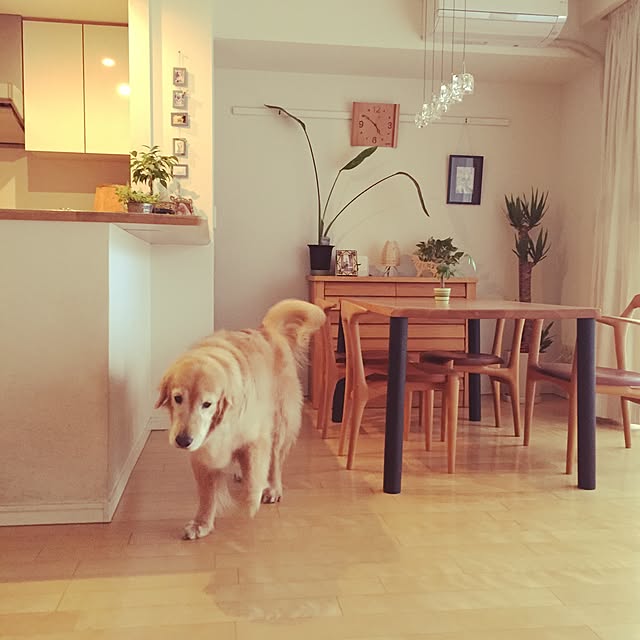 Rose0930さんの実例写真