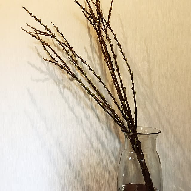 玄関/入り口/雑貨が好き/部屋に緑を/花と暮らす/ネコヤナギ...などのインテリア実例 - 2017-02-06 16:32:37