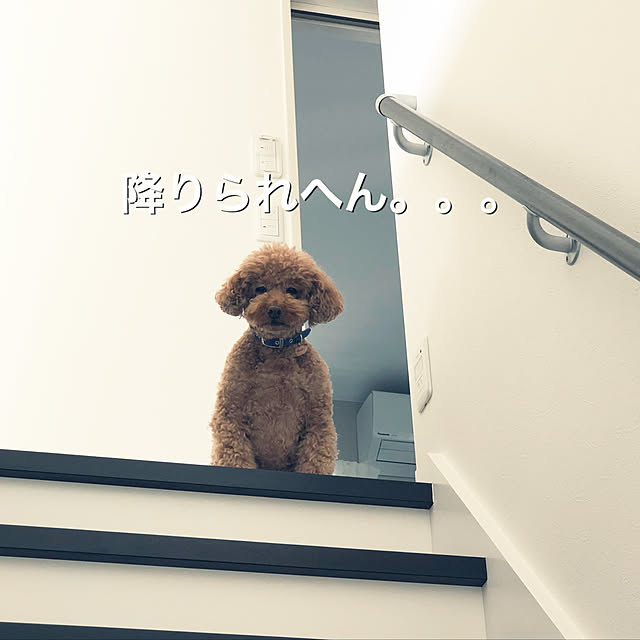 tomatoさんの実例写真