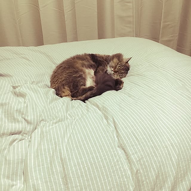 yamachiさんの実例写真