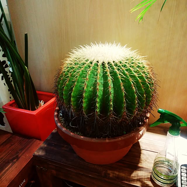 hiro9900さんの実例写真