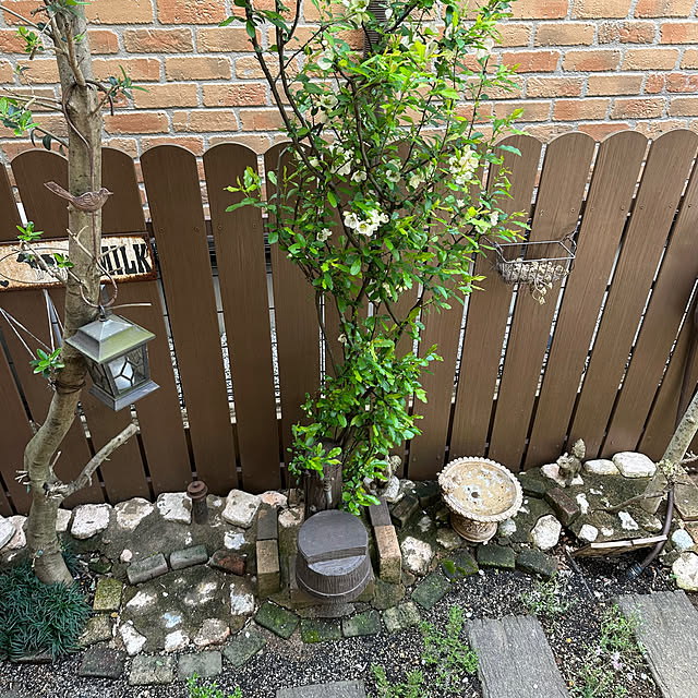 tabasaさんの部屋