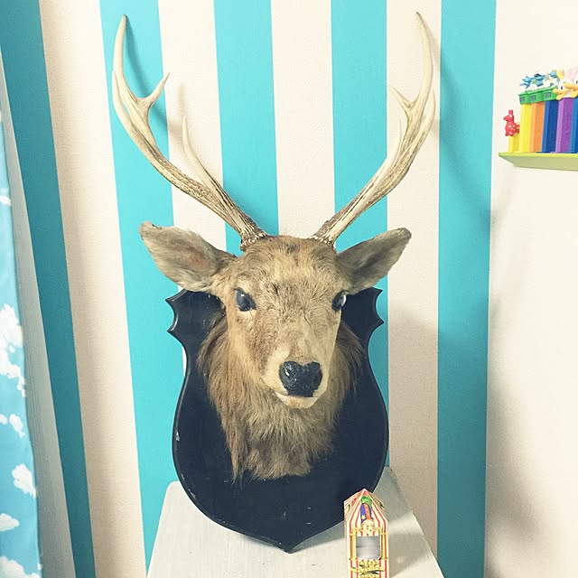 amiさんの実例写真