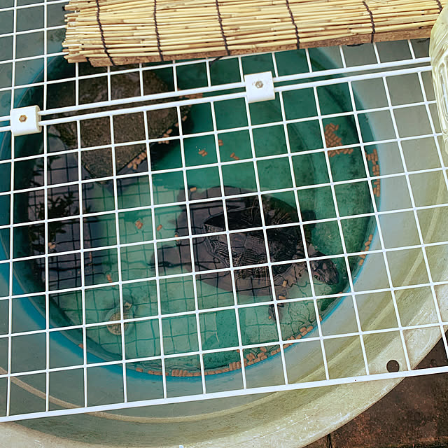 mohimikanさんの実例写真