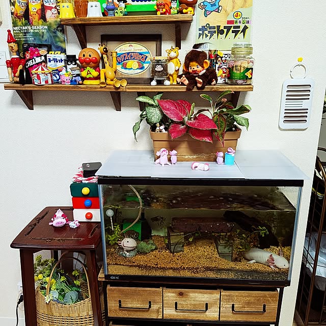 umeboshicyanさんの実例写真