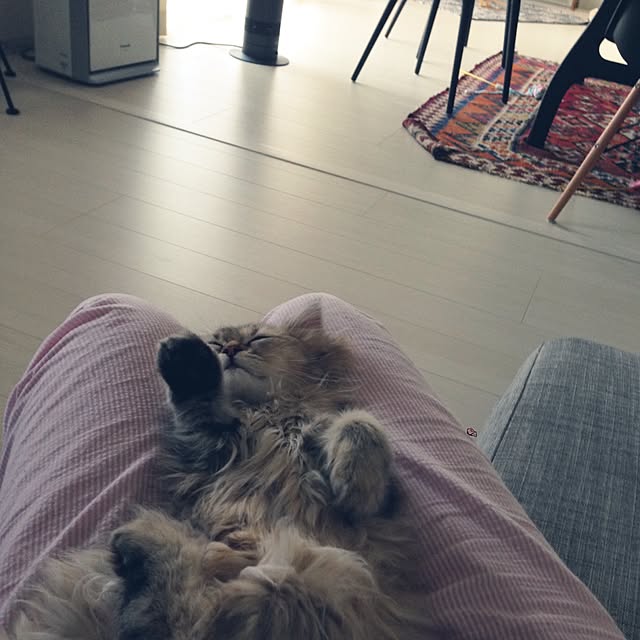 riorio1015さんの実例写真