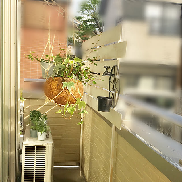 salasaさんの実例写真