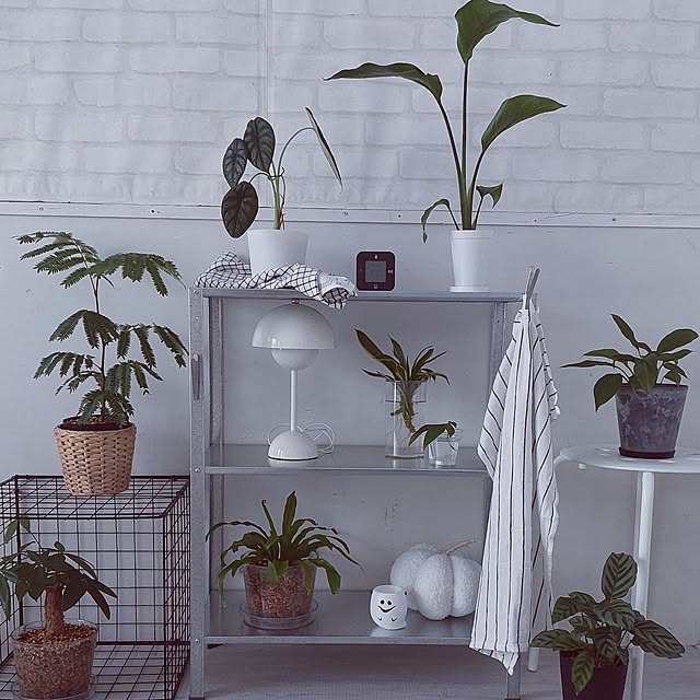 DIYstさんの実例写真