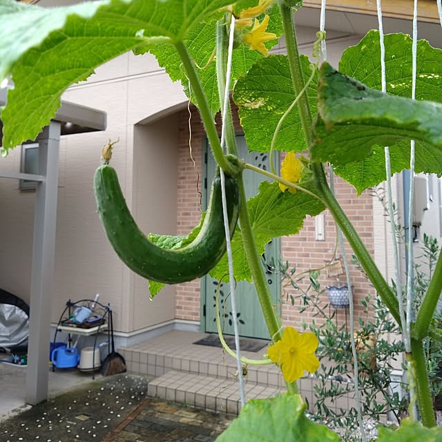 chiiyanさんのお部屋の写真